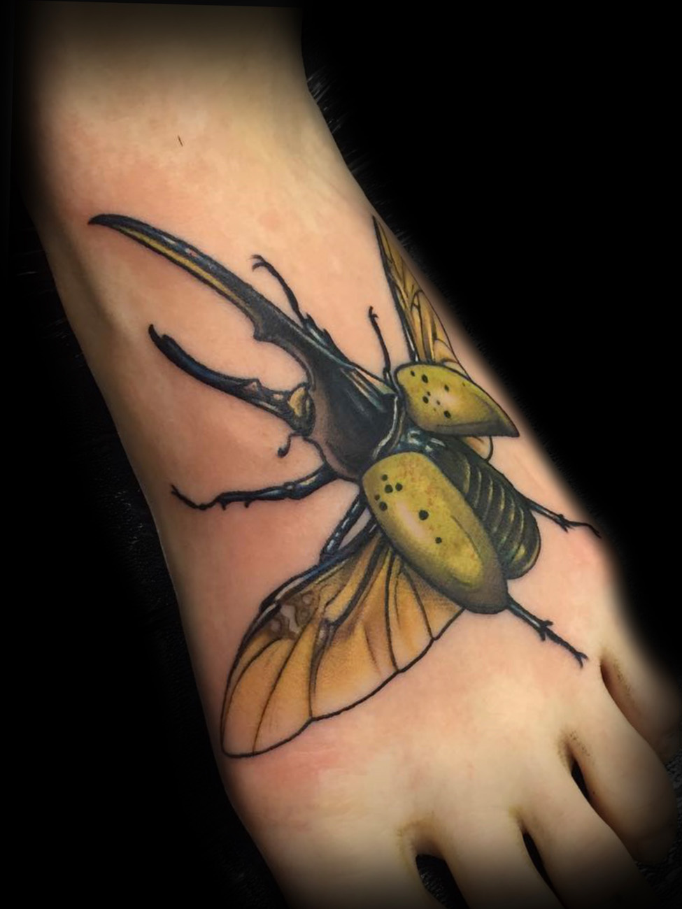 🪲 Tattoo the life cycle of a Hercules Beetle with me! This was an art... |  TikTok