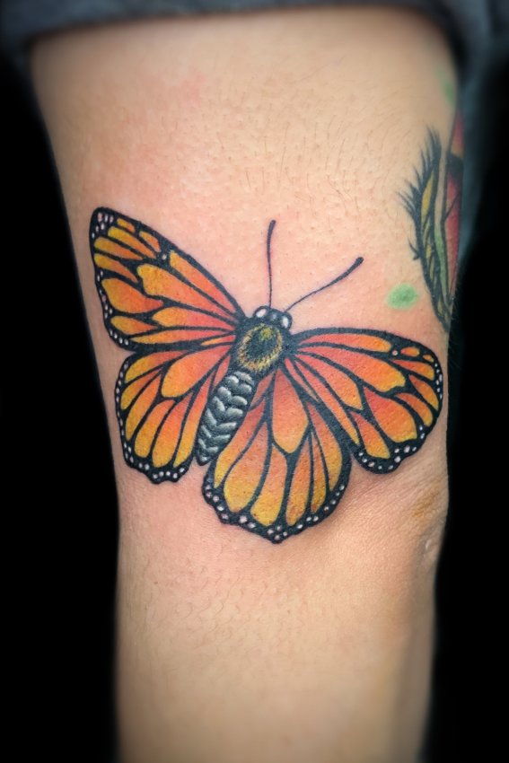 Austin Modglin's portfolio