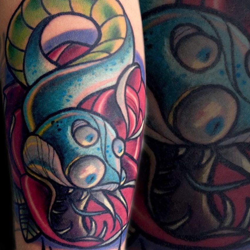 Tarik Tatham's portfolio