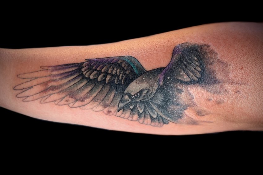 Austin Modglin's portfolio